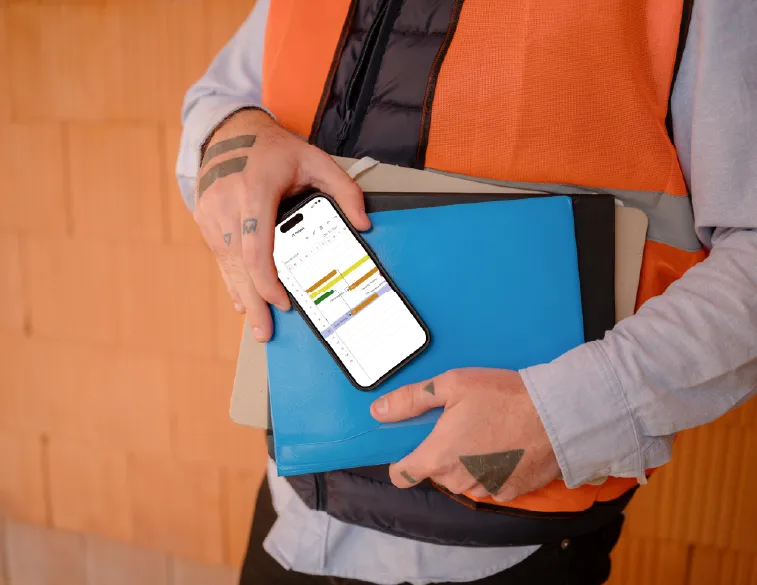 Color-coded milestones